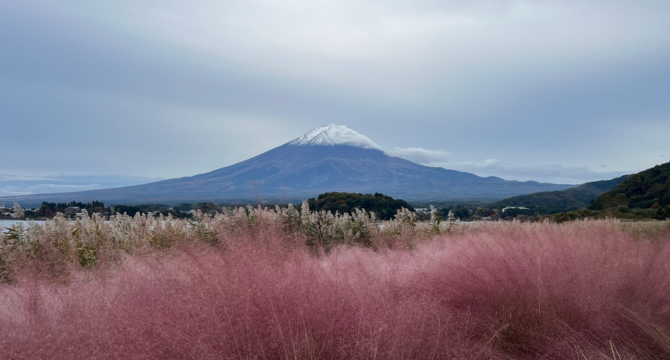 Japan | Mt. Fuji