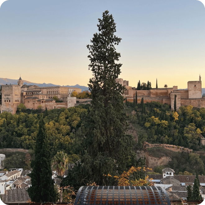 Alhambra Granada uitzicht stedentrip