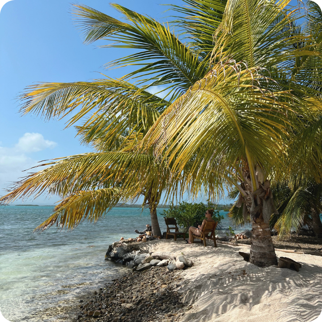San Blas eilanden onder de palmbomen